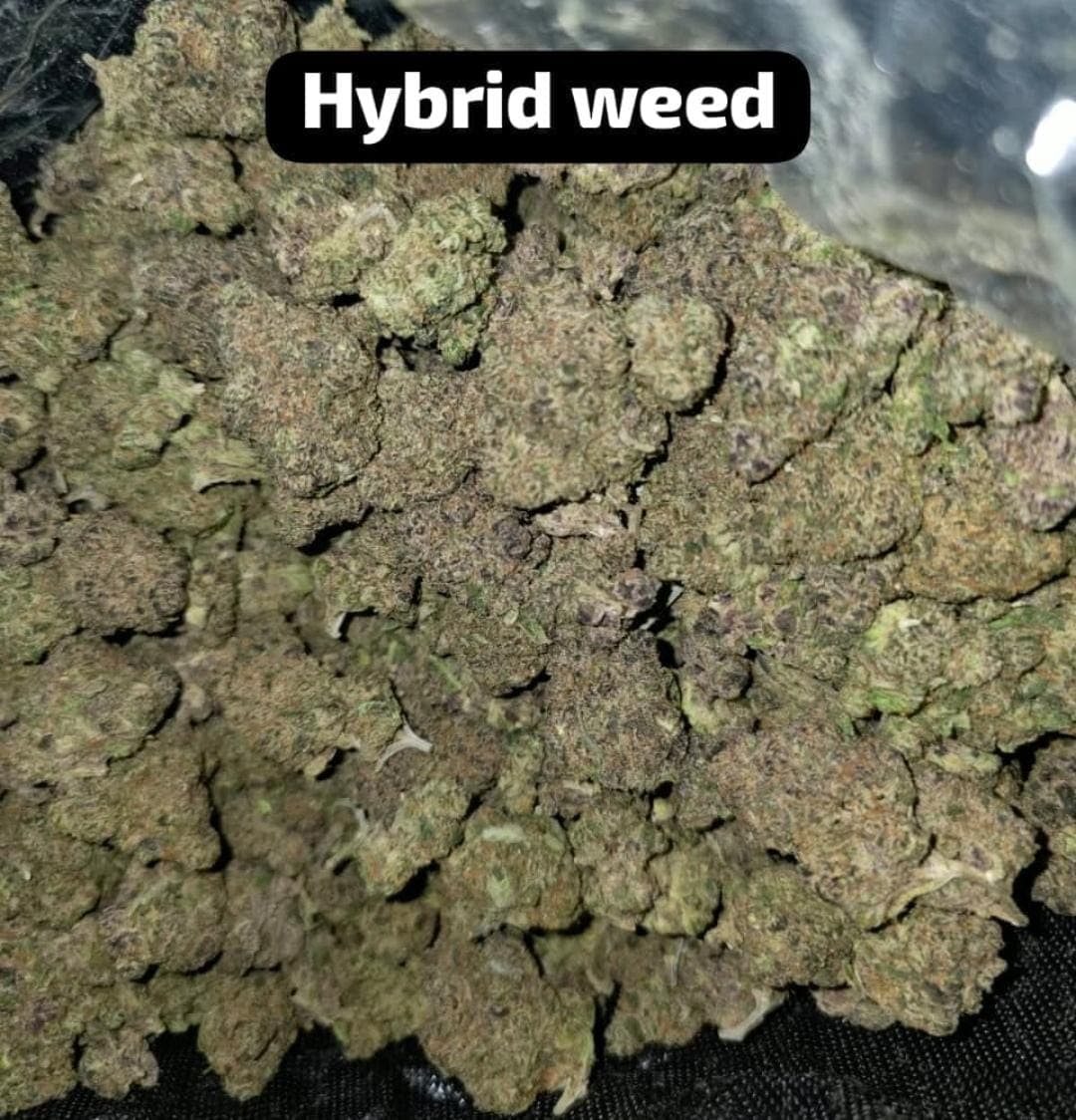 Top Class Weed